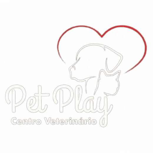 Logo Pet Play Lages