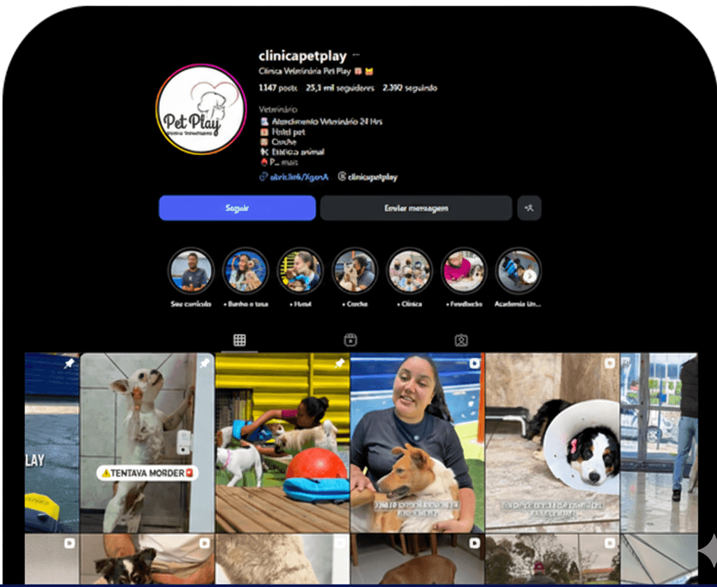 Página inicial Instagram Pet Play