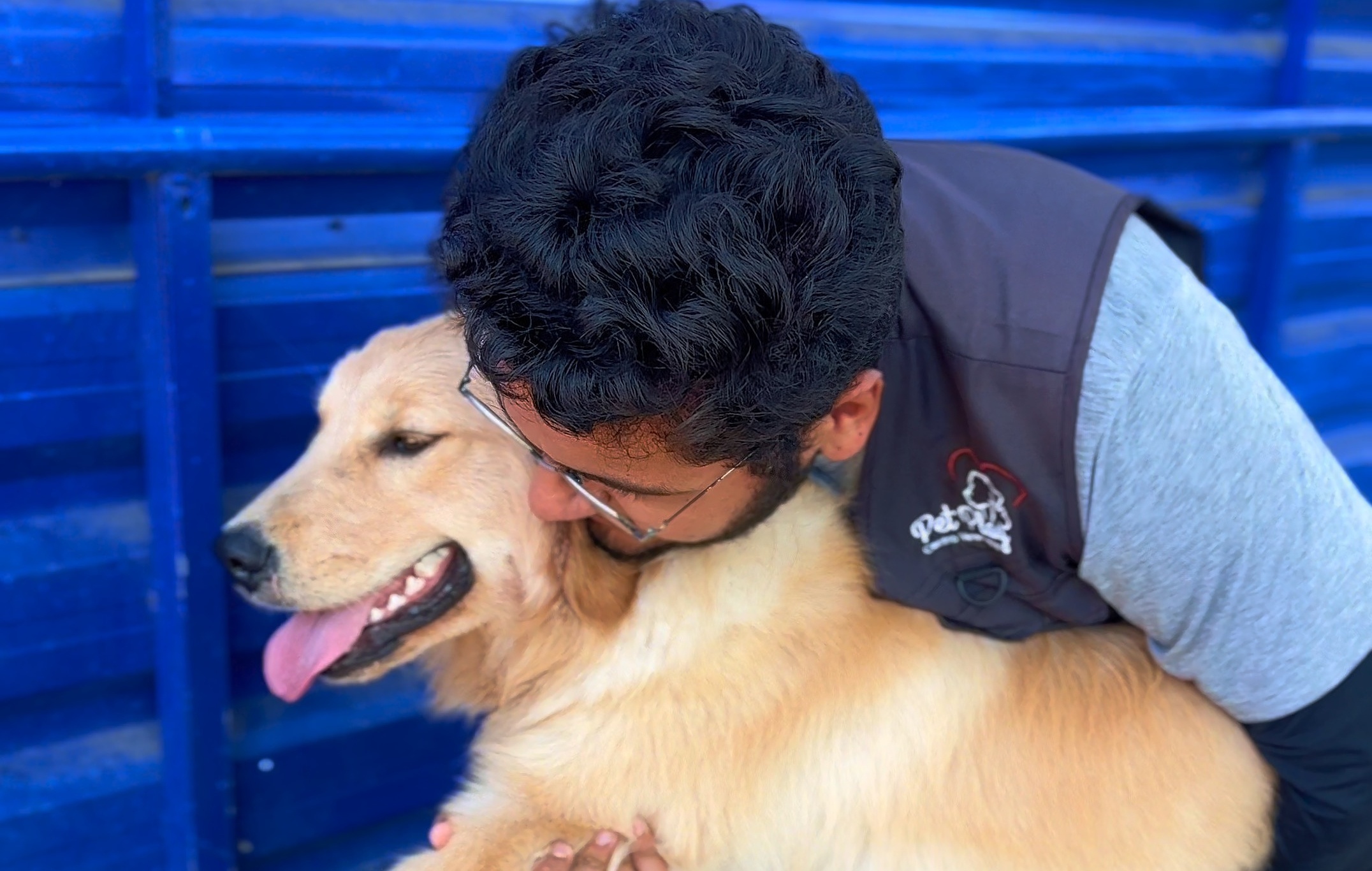 Cachorro sorridente brincando