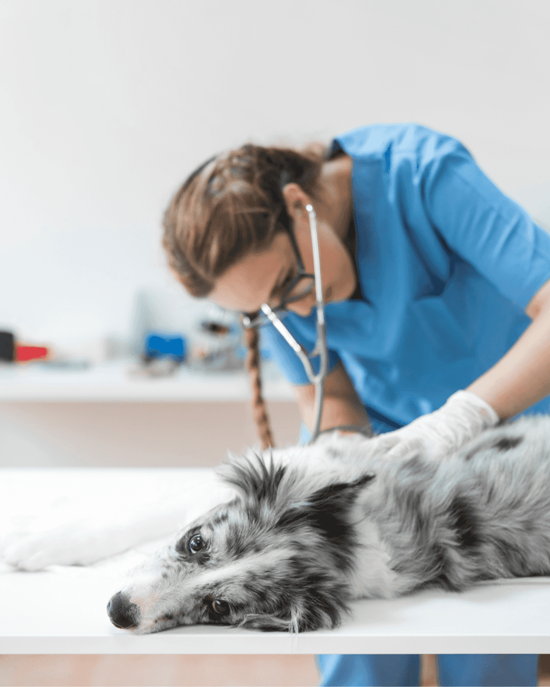 Internação Landing Image