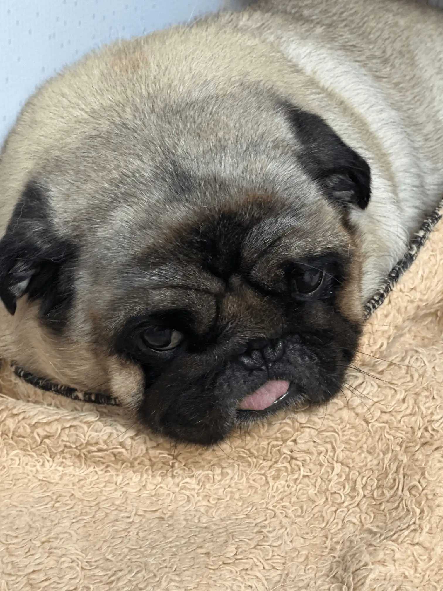 Profilaxia Dentária Landing Image