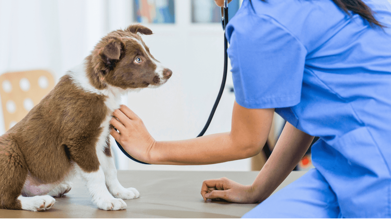 Services Landing Image