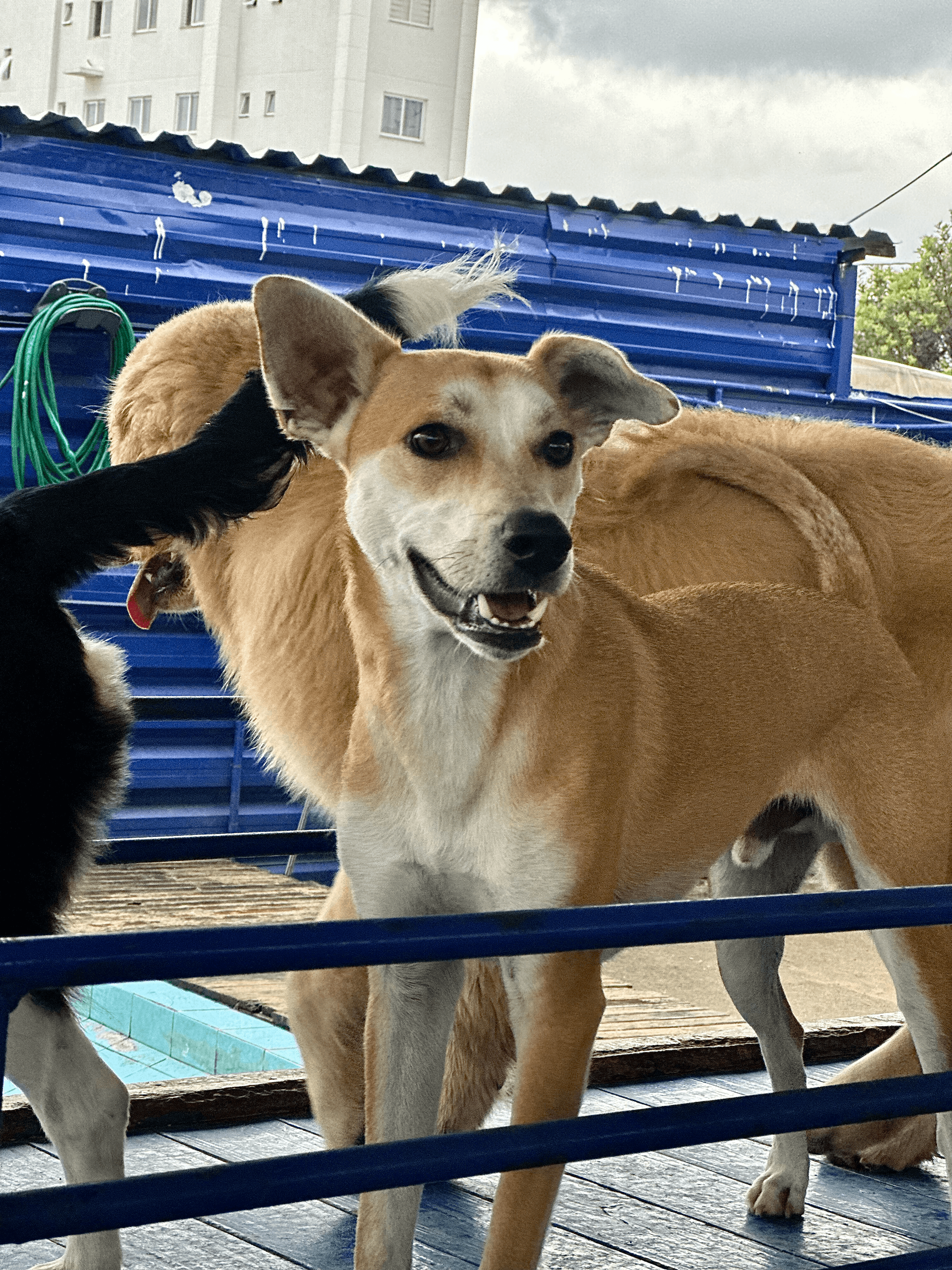 Foto da Galeria