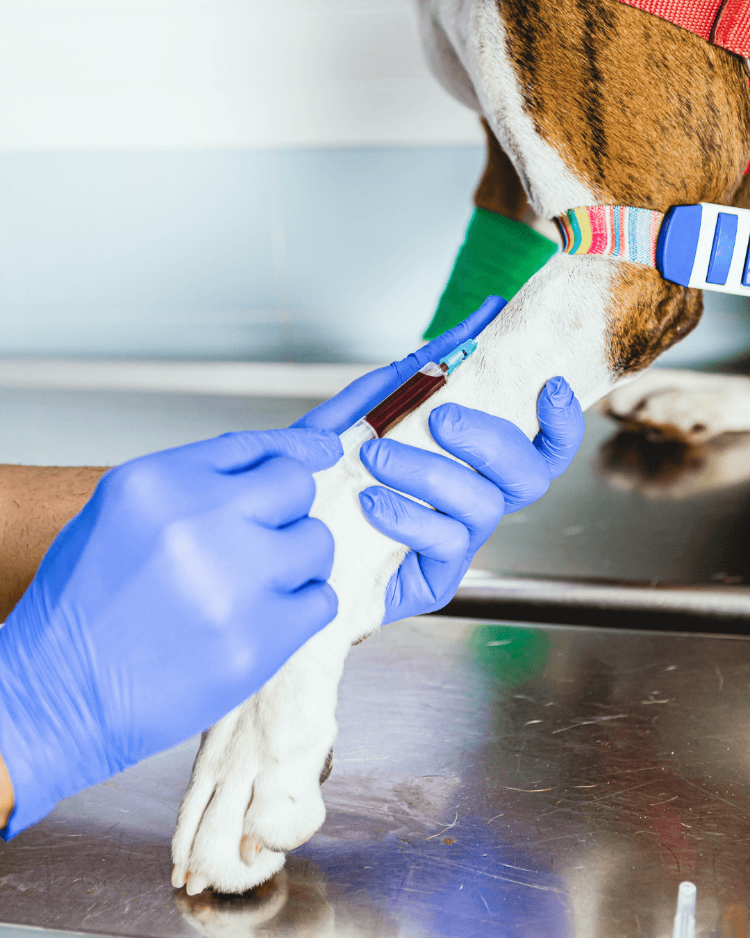 Laboratório Landing Image